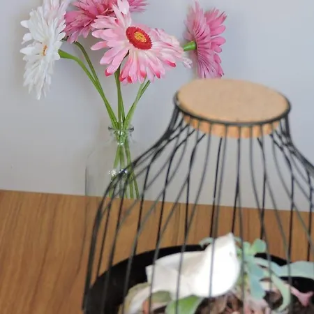 Διαμέρισμα Arum *